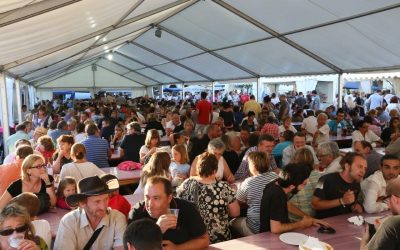 Programme fête des vins 2016